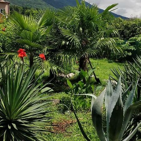 Tikhaya Gavan Guest House Gagra Buitenkant foto