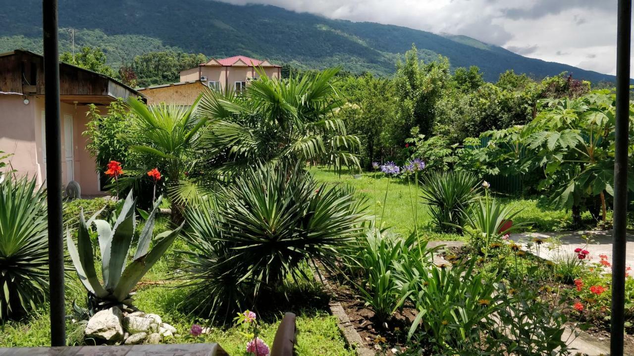 Tikhaya Gavan Guest House Gagra Buitenkant foto