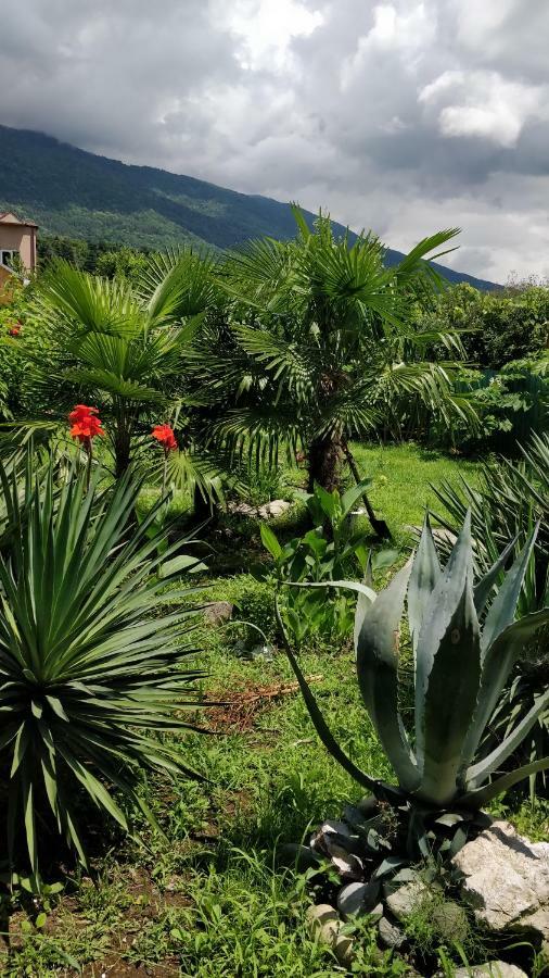 Tikhaya Gavan Guest House Gagra Buitenkant foto