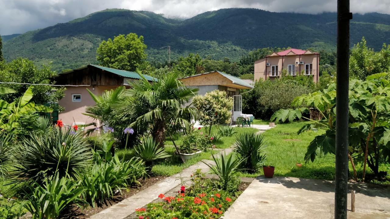Tikhaya Gavan Guest House Gagra Buitenkant foto